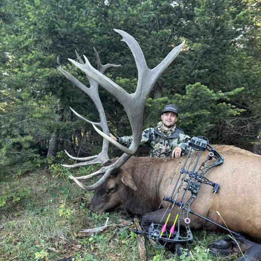 Why Do Some Elk Antlers Appear Grey While Others Are Brown?